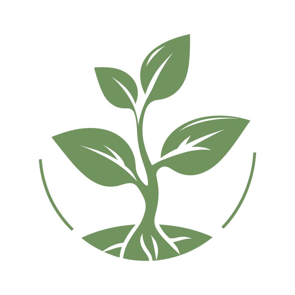 green sprout logo design illustration. Icon leaves vector