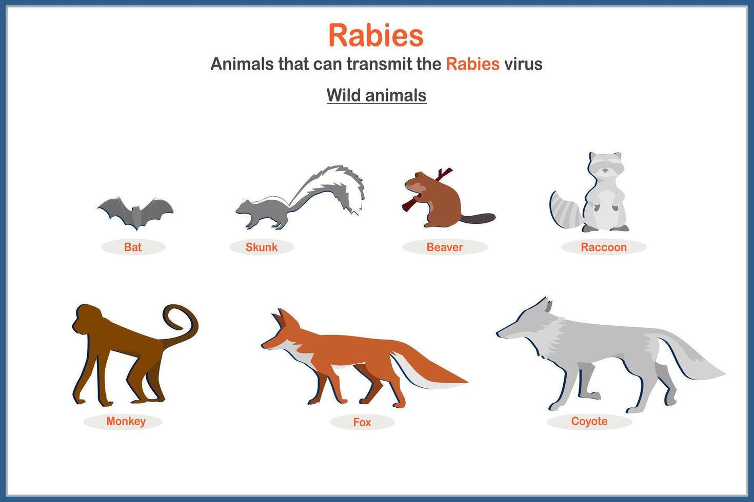 Medical illustration in flat style. The concept of rabies s from wild animals such as bats, skunks, beavers, raccoons, monkeys, wolves, foxes, coyotes. vector