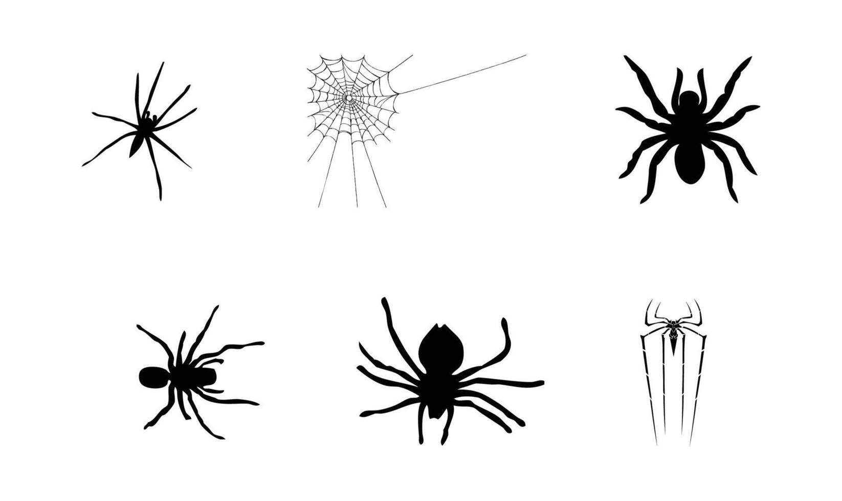 aranea arañas s icono conjunto vector