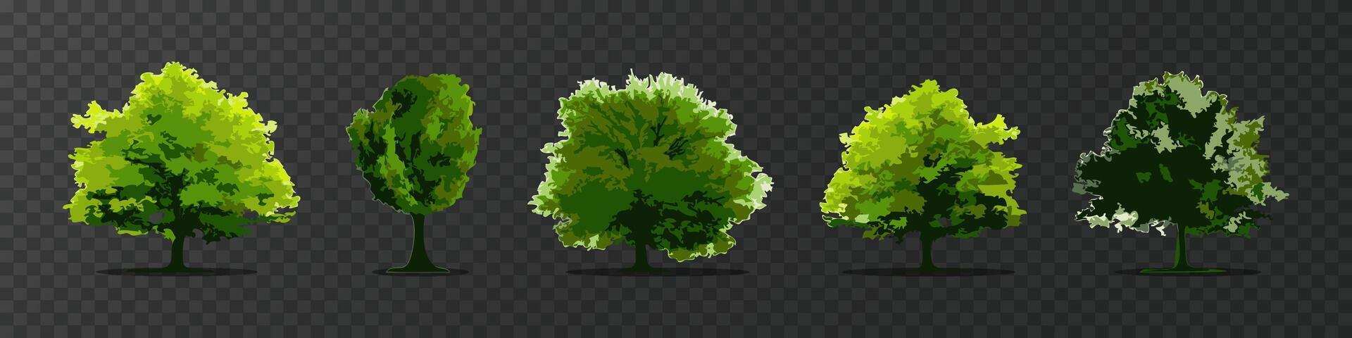 Tree set. Green fresh trees botanical illustration. vector