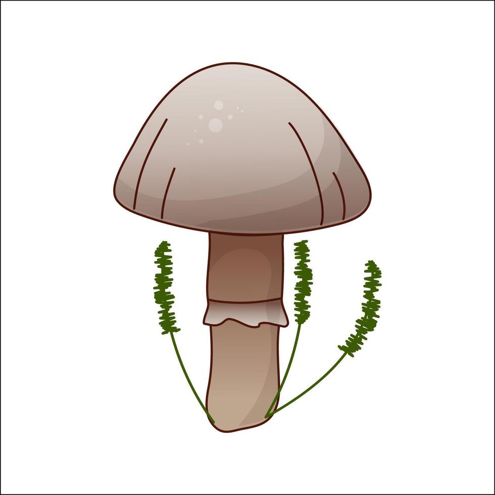 Mushroom isolated illustration. Toadstool in cartoon. Plants, botanists, not edible mushroom. Design element for theme forest mushrooms, menu, ingredients, recipes, organic products, etc. vector