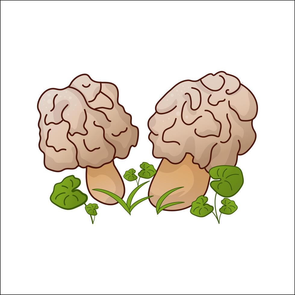 Morel edible mushroom isolated illustration. Theme of plants, botanists in cartoon. Design element for theme forest mushrooms, menu, ingredients, recipes, organic products, etc. vector