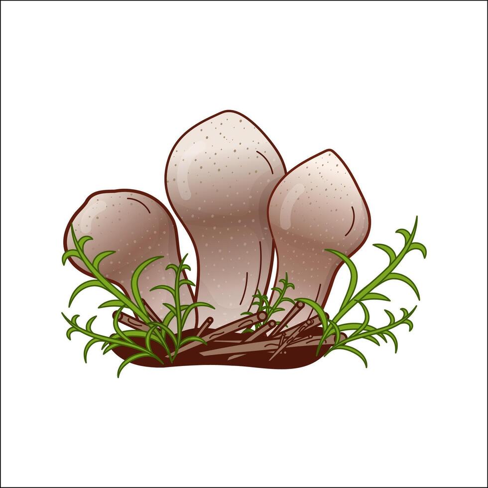 Champignon, puffball mushroom isolated illustration. Theme of plants, botanists in cartoon. Design element for theme forest mushrooms, menu, ingredients, recipes, organic products, etc. vector