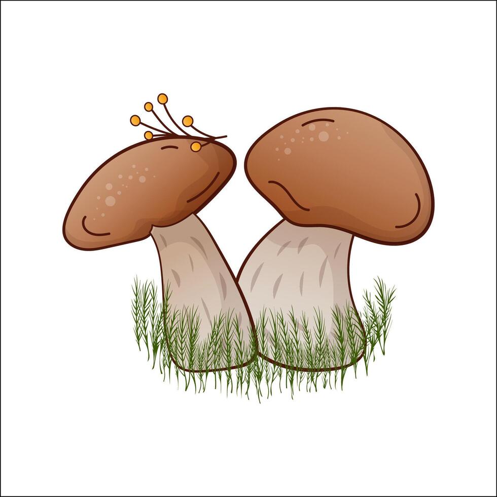 Porcini mushroom, boletus isolated illustration. Theme plants, botanists, mushrooms in cartoon. Design element for theme forest mushrooms, menu, ingredient, recipes, organic products, etc. vector