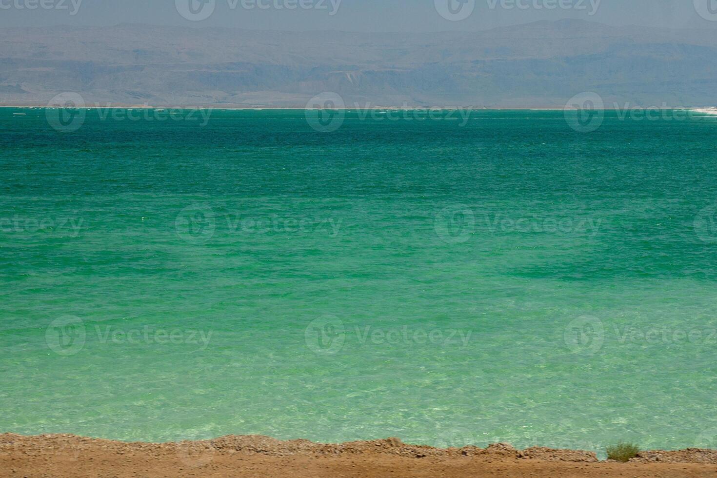 Desert landscape of Israel, Dead Sea, Jordan. Selective focus photo