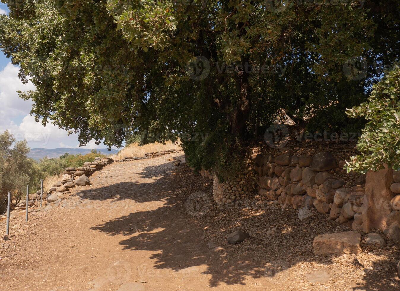 Empty old dirt road and ancient stone wall in historical place in Israel. Ancient city in desert photo