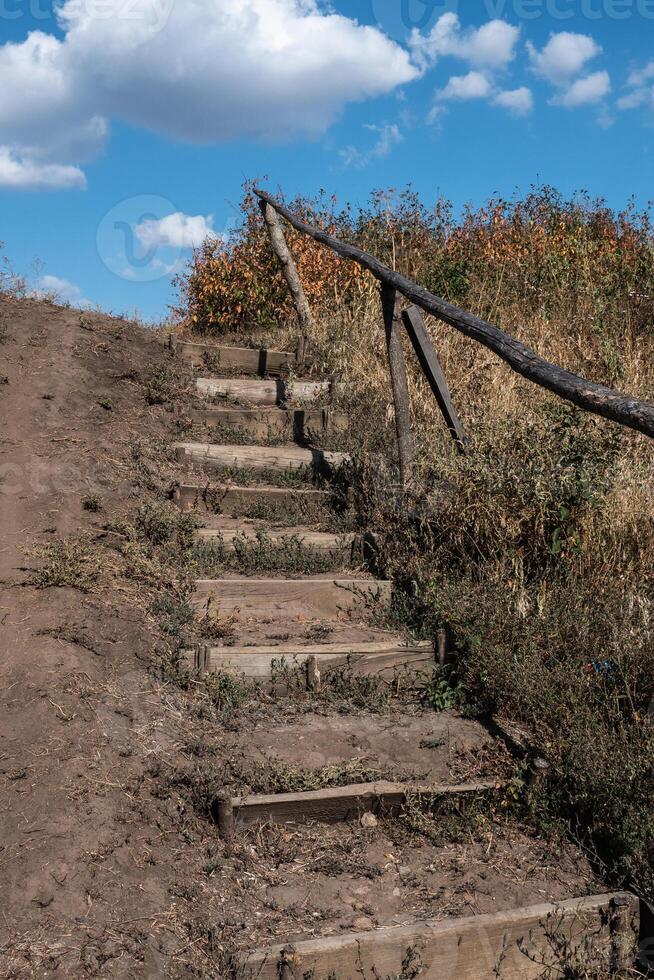 Old narrow wooden stairs leading up a walkway among the grass in the park in summertime photo