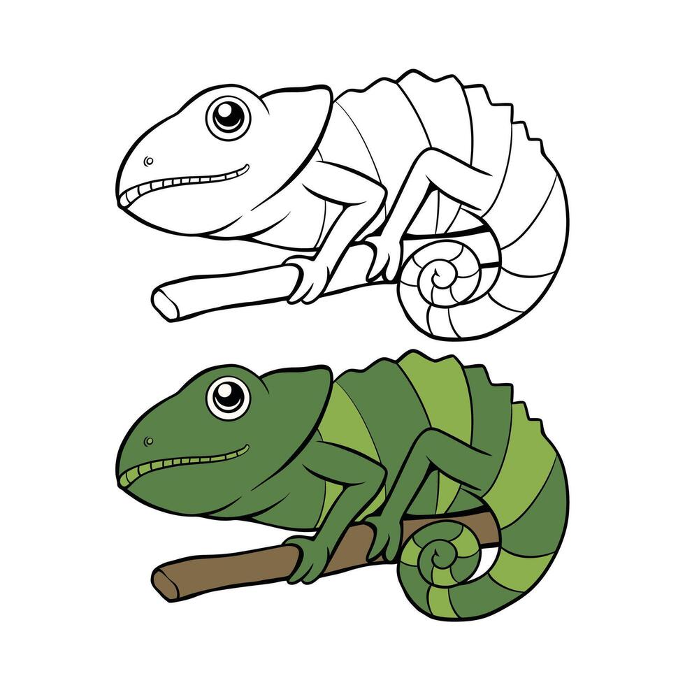 Hand drawn chameleon coloring book illustration vector