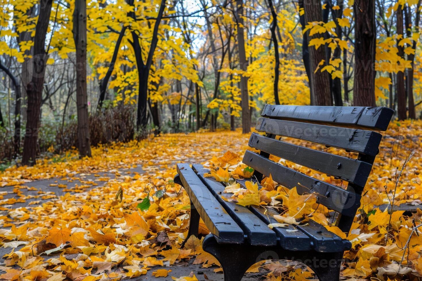 vacío mojado banco en un camino forrado con otoño hojas foto