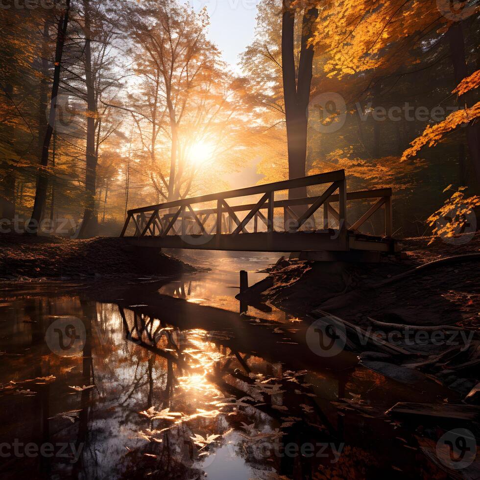 Wooden bridge over a small river in the autumn forest at sunset photo
