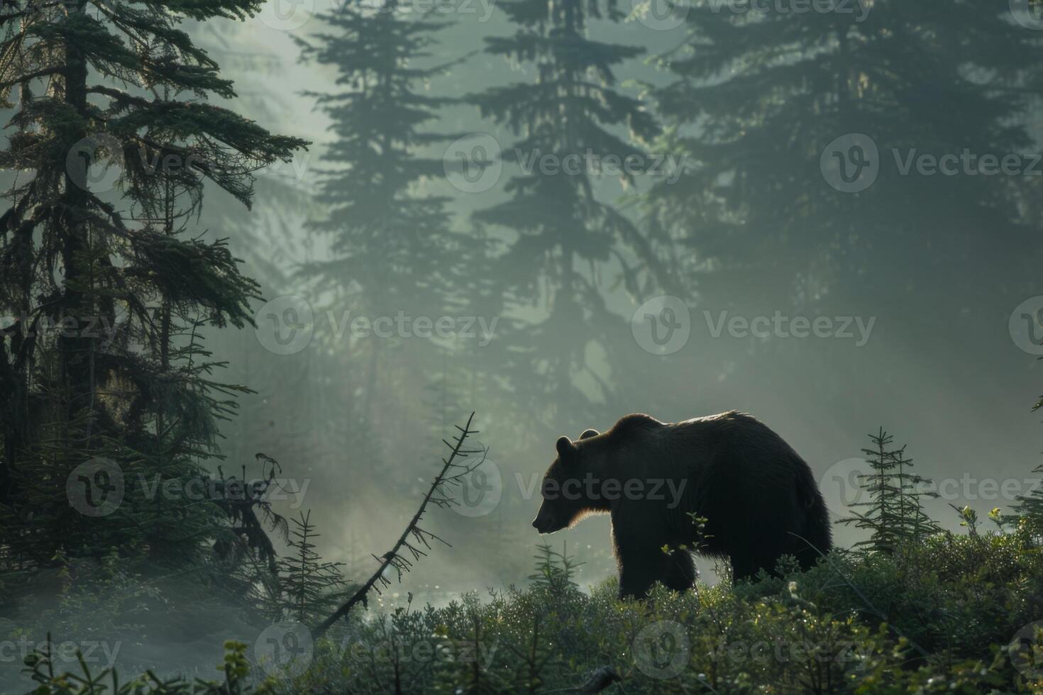 Silhouetted Brown Bear in Misty Forest Dawn. photo