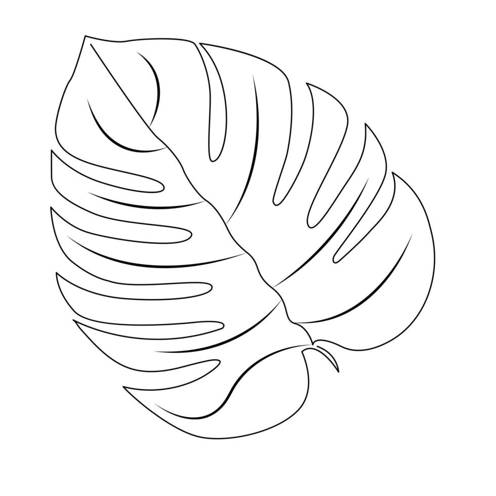 Leaf Continuous single one line drawing illustration art design vector