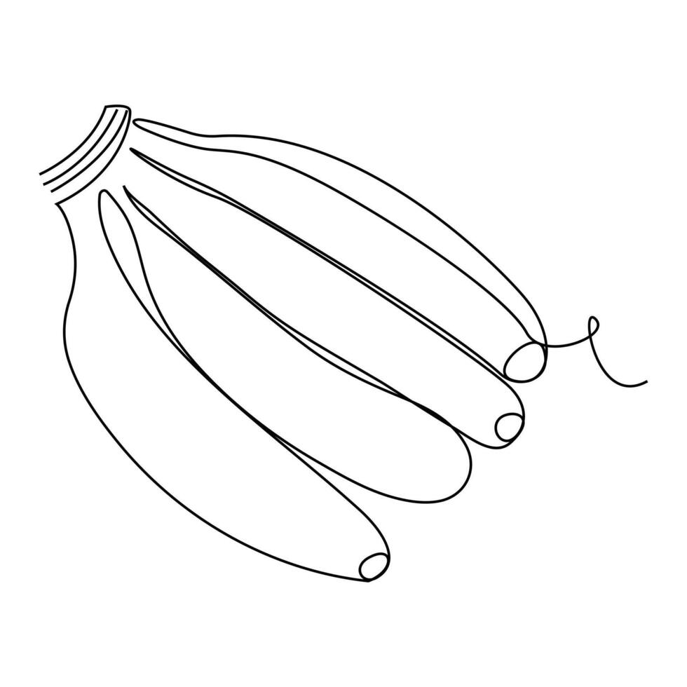 Healthy organic banana fruits continuous single one line drawing art design. vector