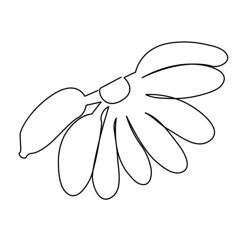 Healthy organic banana fruits continuous single one line drawing art design. vector