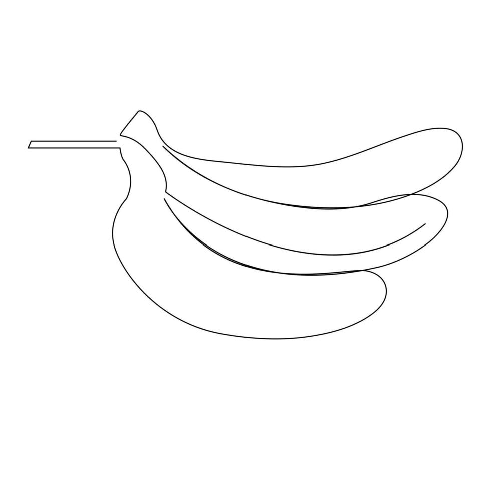 Healthy organic banana fruits continuous single one line drawing art design. vector