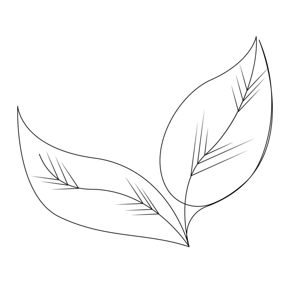 Leaf Continuous single one line drawing illustration art design vector