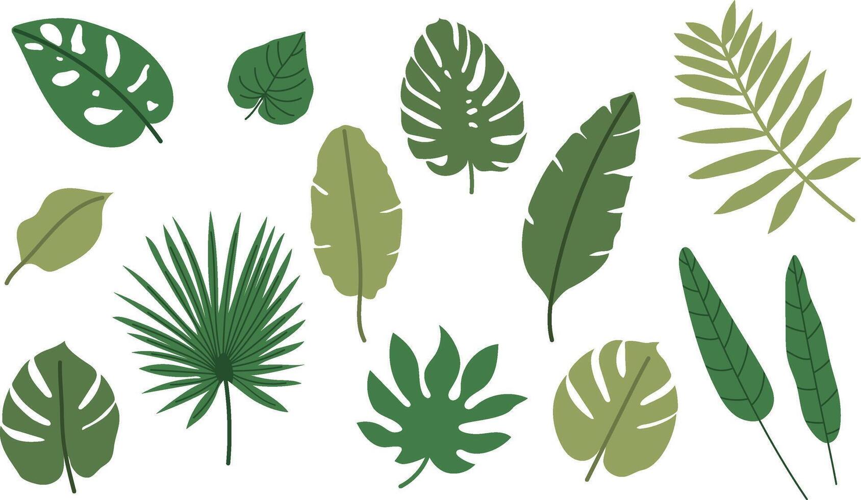 Set of tropical leaves, Exotic leaves in minimalistic flat style vector