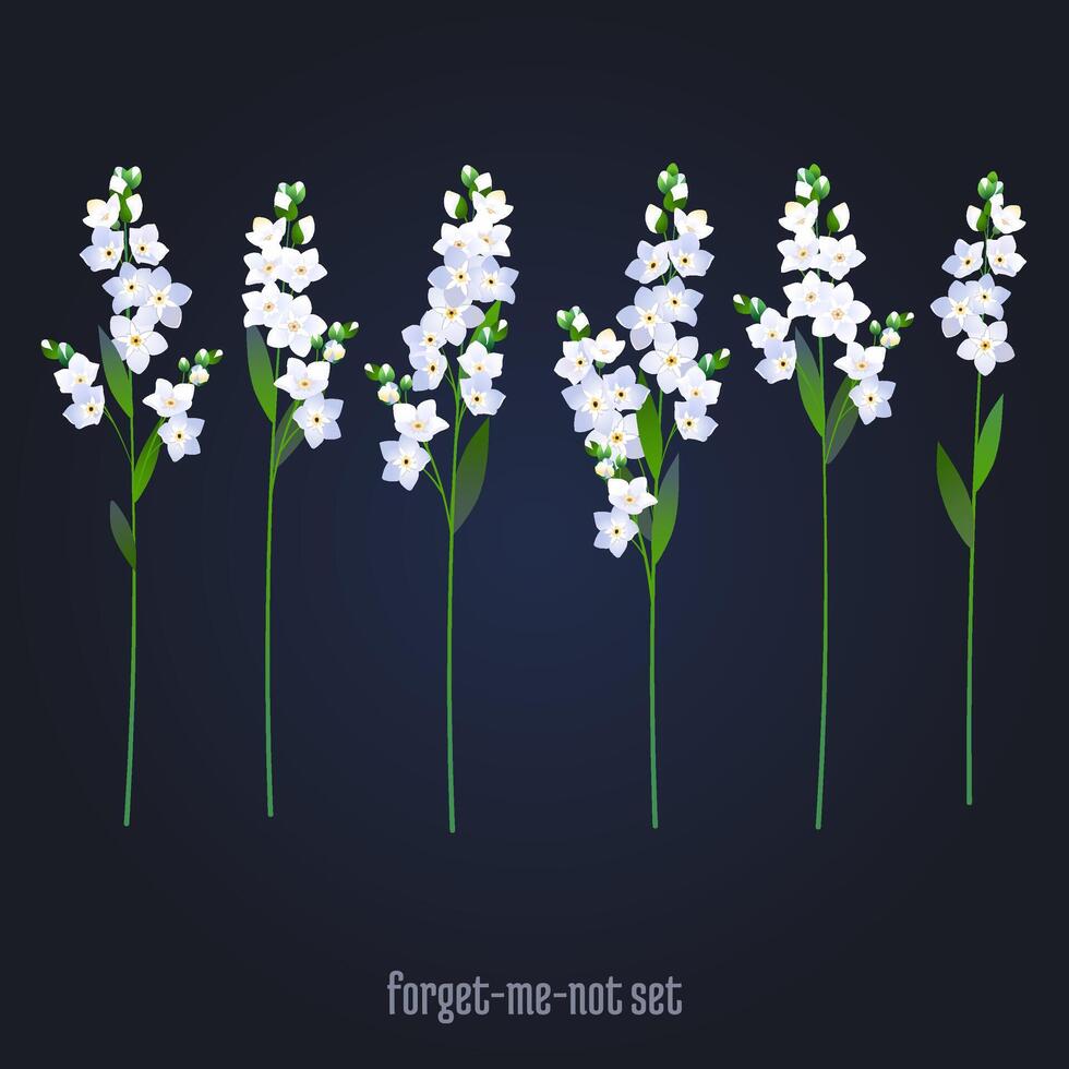 Set of wedding elements, forget-me-nots vector