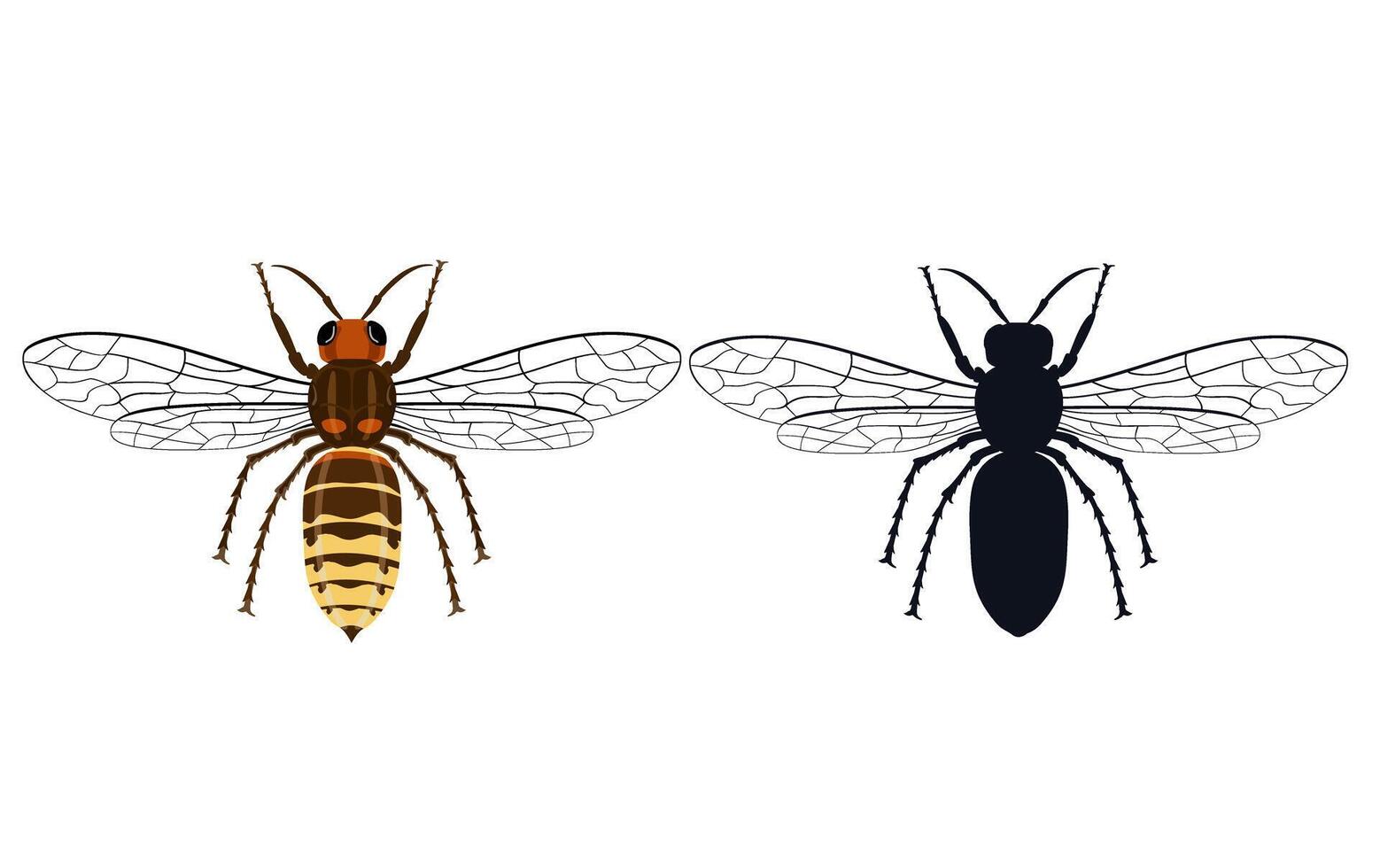 Illustration of a Hornet in a flat style. Wasp isolated on white. Emblem of a bee, hornet, pest, sting vector