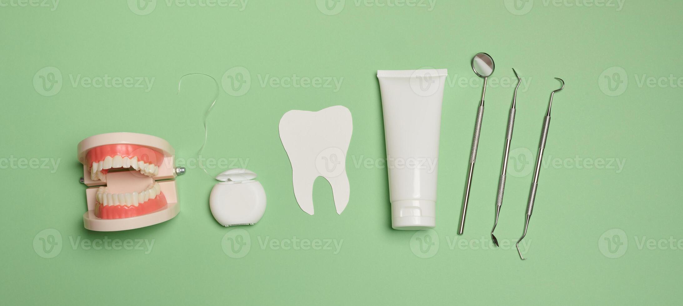 Model of human teeth, tube with toothpaste, dental floss and medical mirror on a green background photo