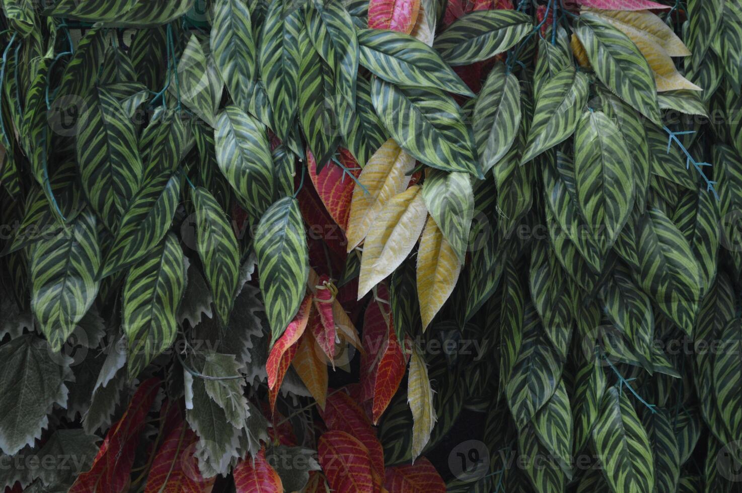 Close-up of fallen leaves in autumn. orange green leaf background and leaf texture photo