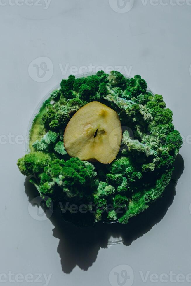 half an apple with mold and moss. photo