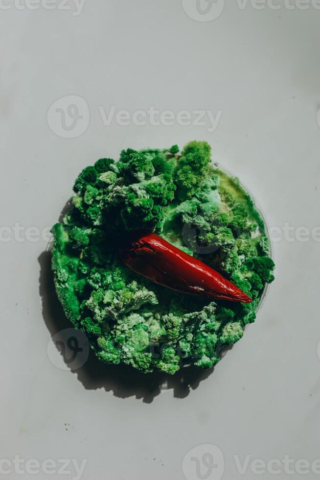 Red paprika on green mold and moss. photo