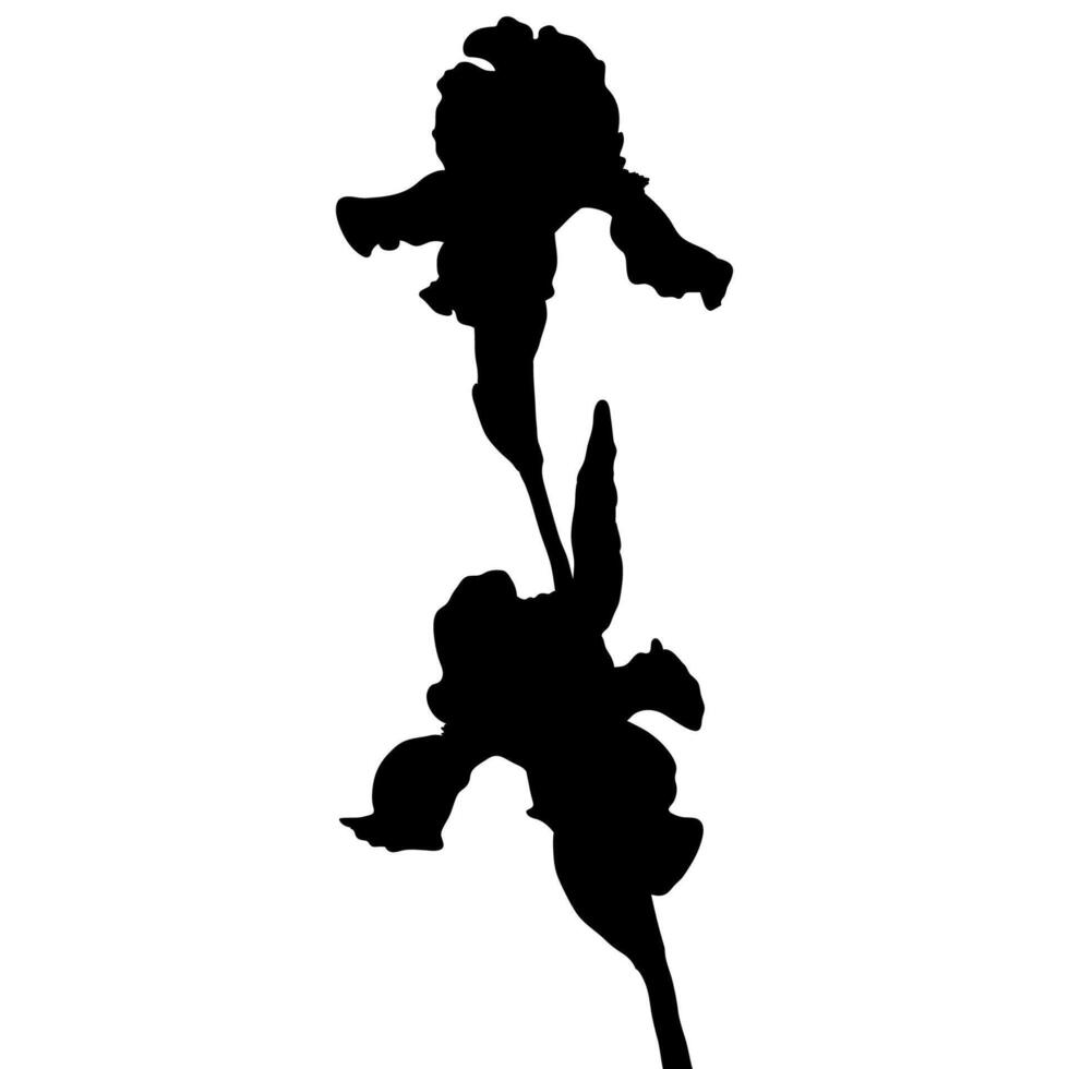 Iris Flower Silhouette vector
