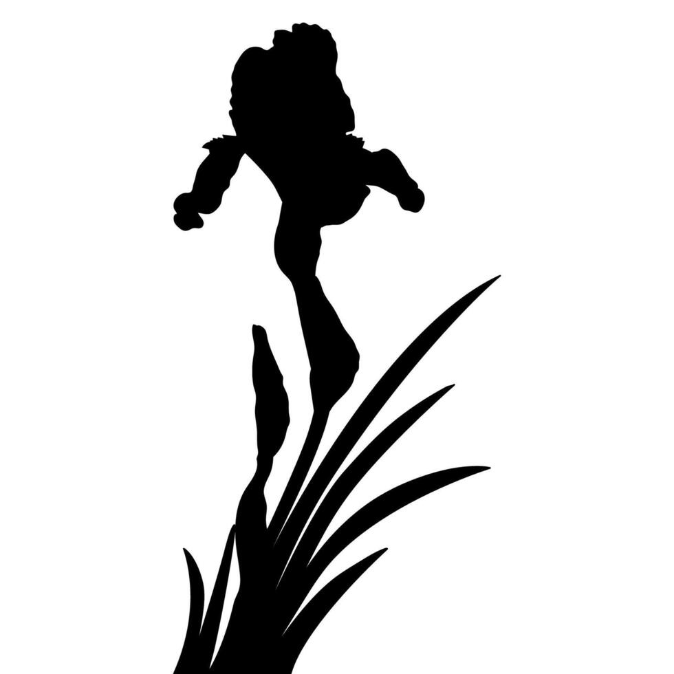 Iris Flower Silhouette vector