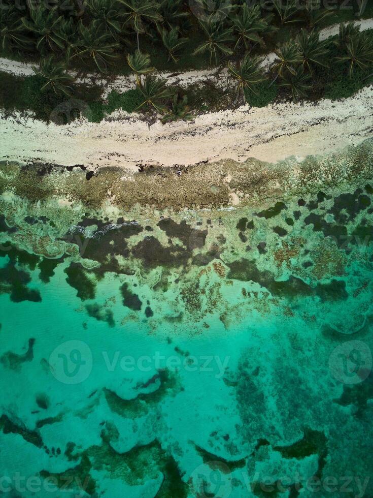 Aerial view of coral and beach. Top view. Dominican Republic. Punta Cana photo