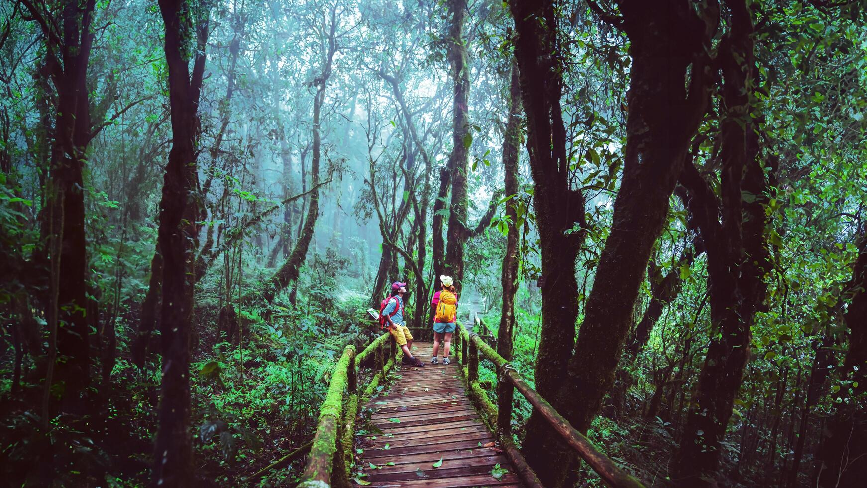 amante del hombre asiático y las mujeres asiáticas viajan por la naturaleza. estudio de la naturaleza en la selva tropical de chiangmai en tailandia. foto