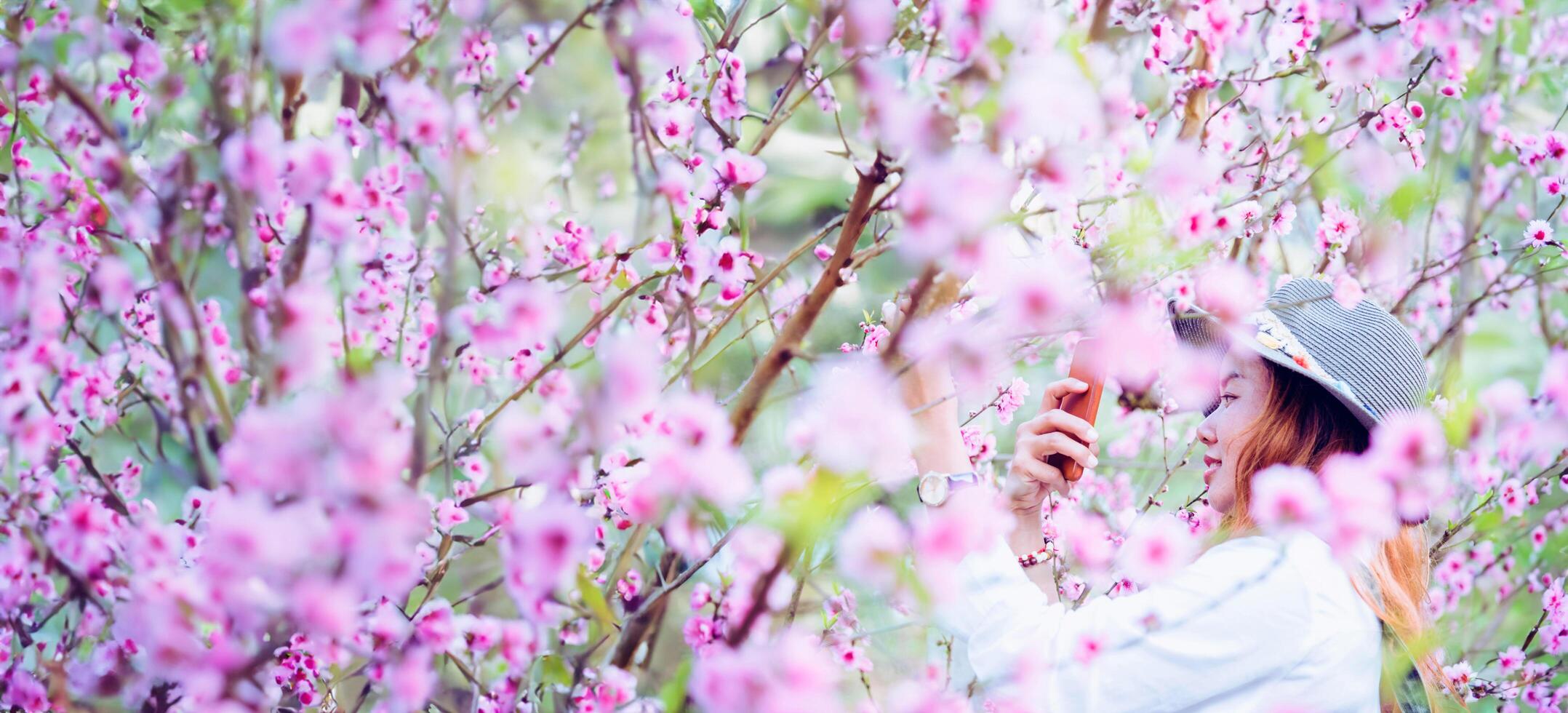 woman asian travel nature. Travel relax. photographed in a flower garden. photo