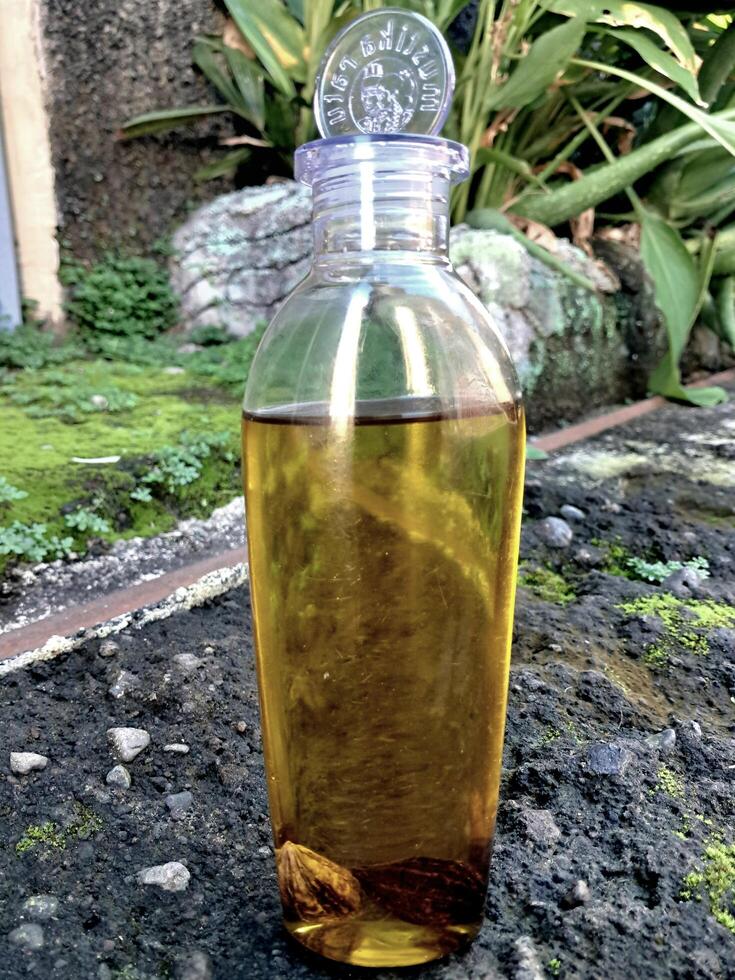 Olive oil in a bottle on moss grass background and plaster photo