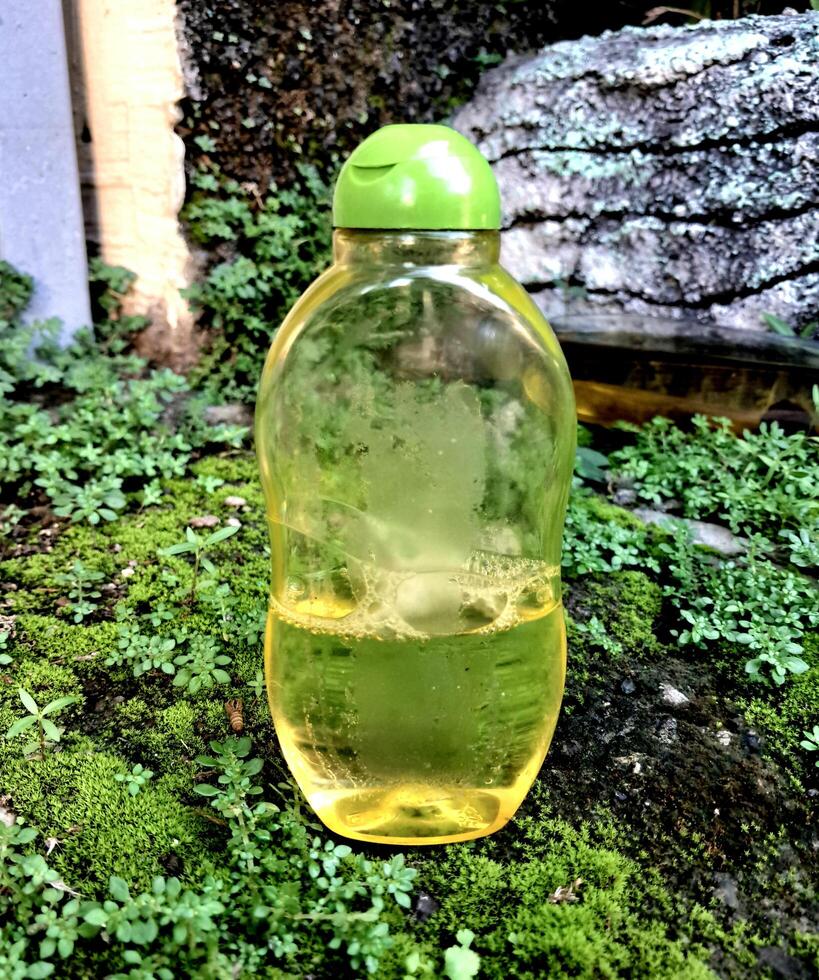 Olive oil in a bottle on moss grass background and plaster photo