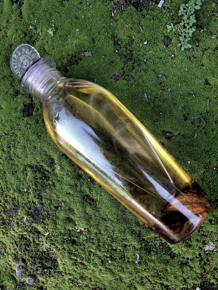 aceituna petróleo en un botella en musgo césped antecedentes y yeso foto