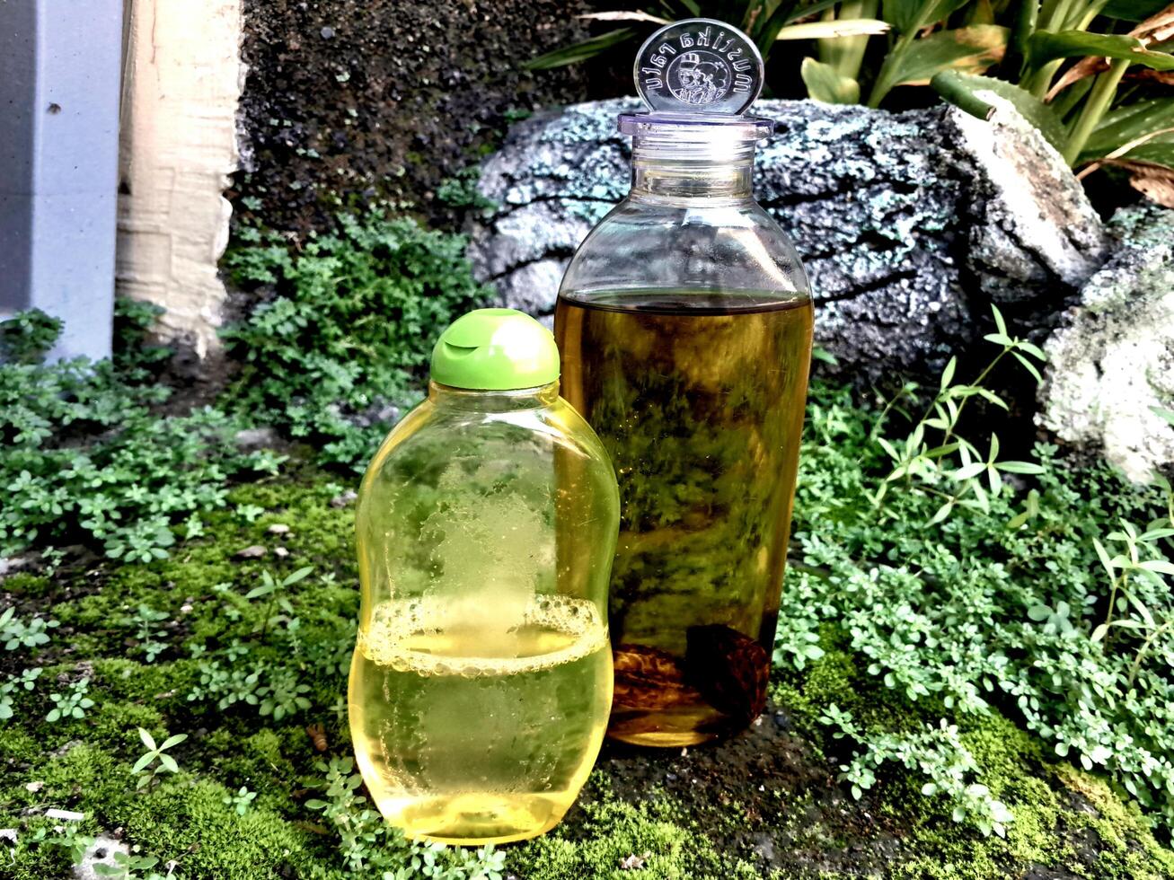 Olive oil in a bottle on moss grass background and plaster photo