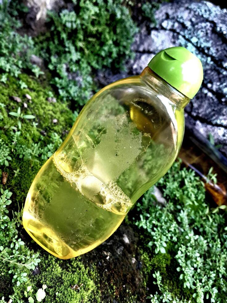 Olive oil in a bottle on moss grass background and plaster photo