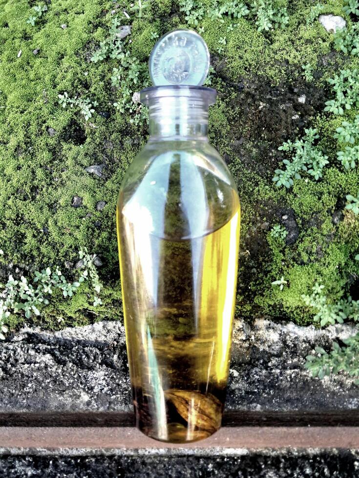 Olive oil in a bottle on moss grass background and plaster photo