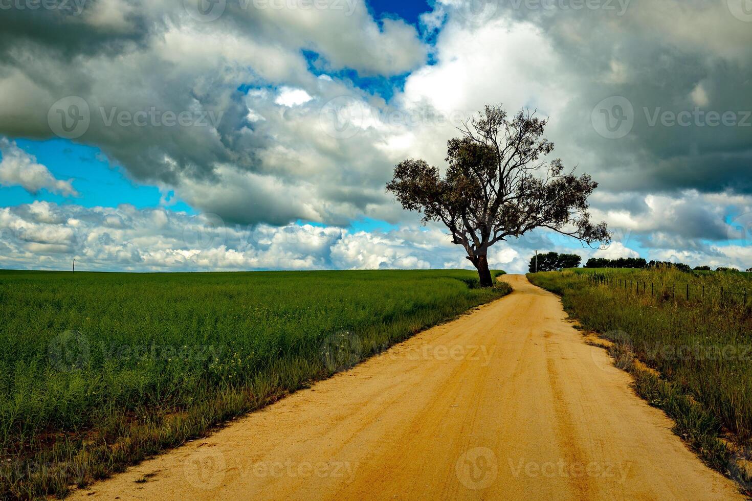 Serene Country Roadside photo