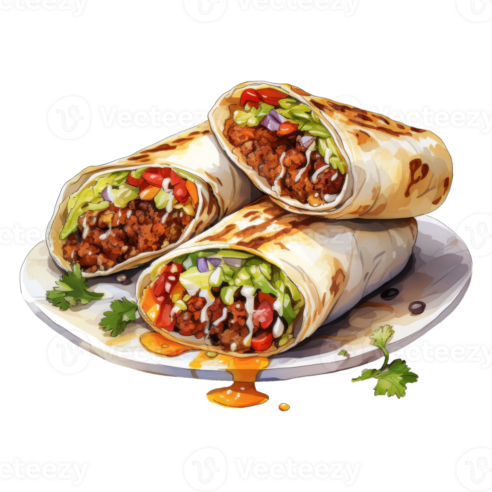 Burrito Display Ready for Devouring png