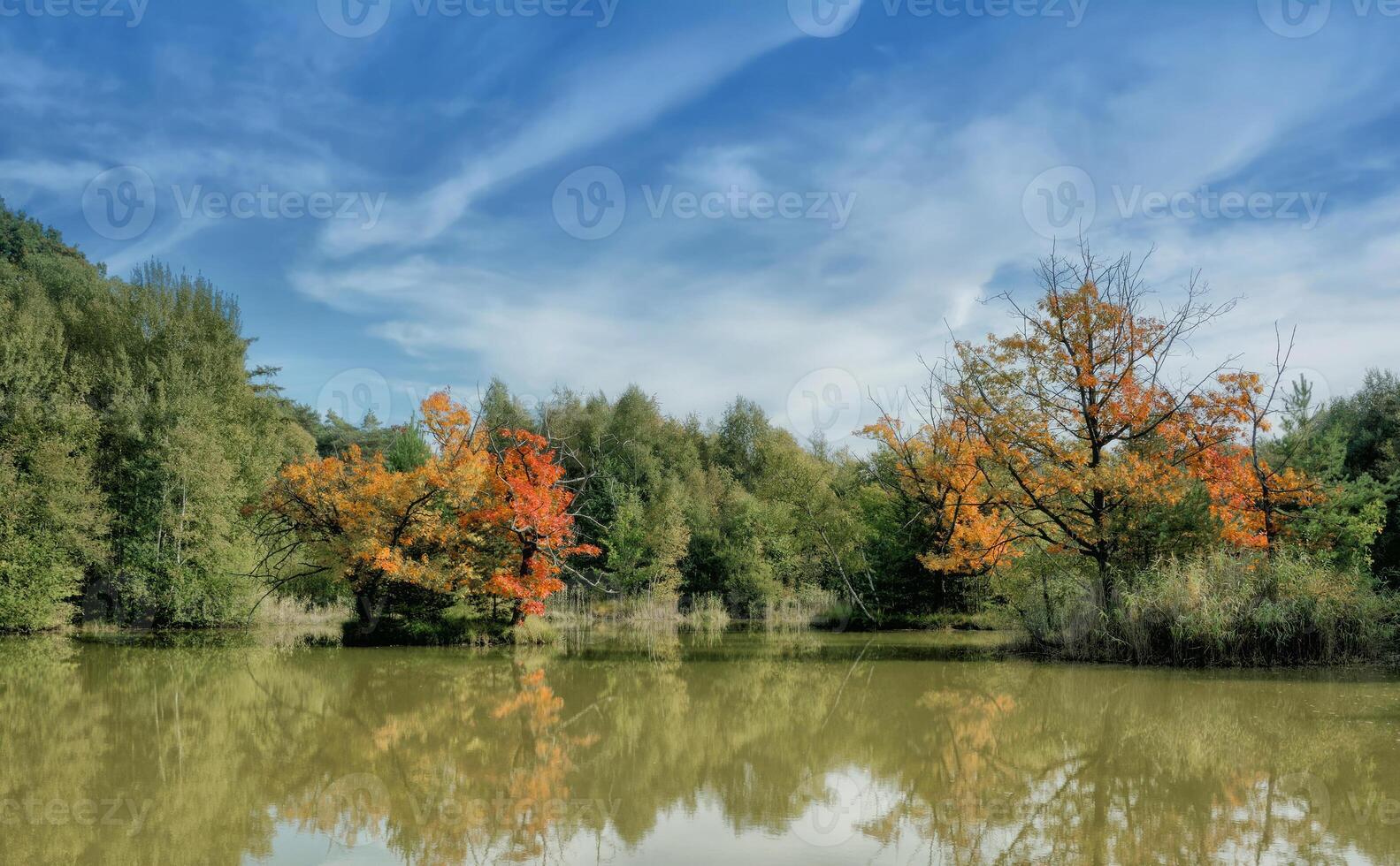 Pond in Ohligser Heide Nature Reserve ,Bergisches Land,North Rhine Westphalia,Germany photo