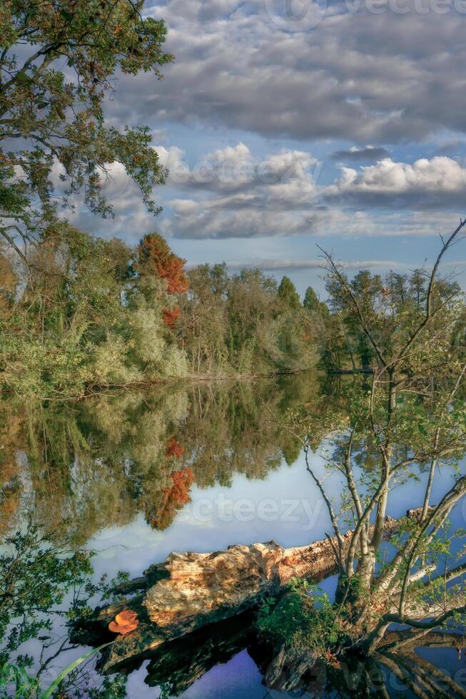 Krickenbecker Seen Nature Reserve,lower Rhine region close to Nettetal,North Rhine Westphalia,Germany photo