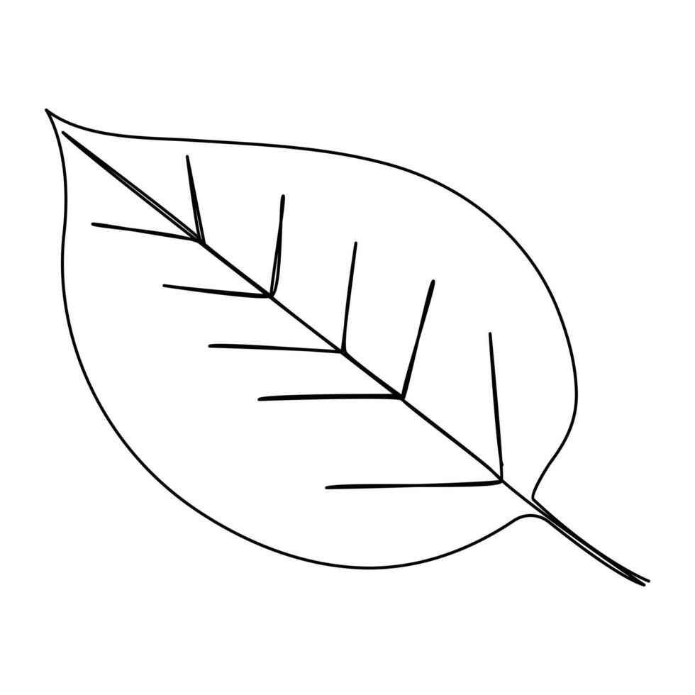 Leaf Continuous single one line drawing illustration art design vector
