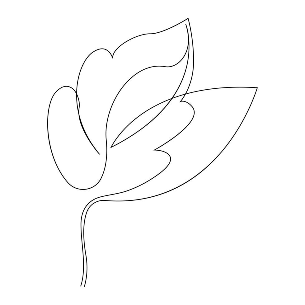 Leaf Continuous single one line drawing illustration art design vector