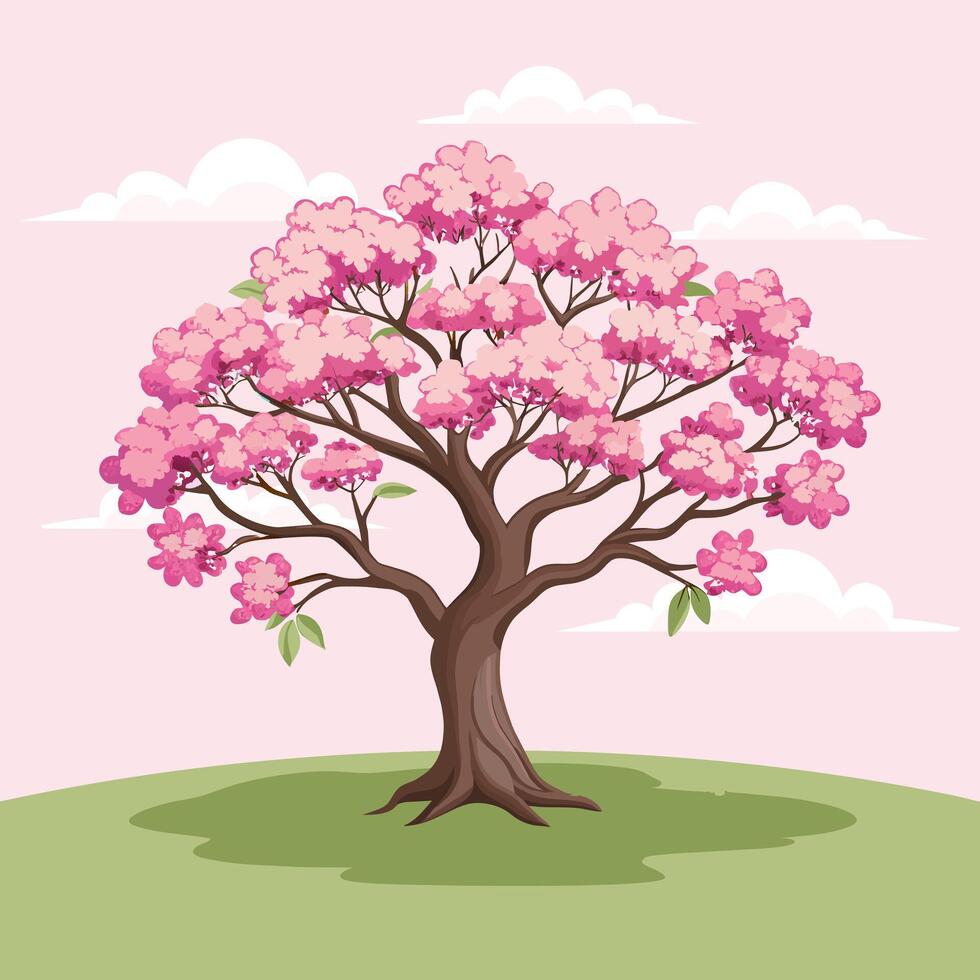 Beautiful cherry blossom tree with pink flowers. Sakura illustration. vector