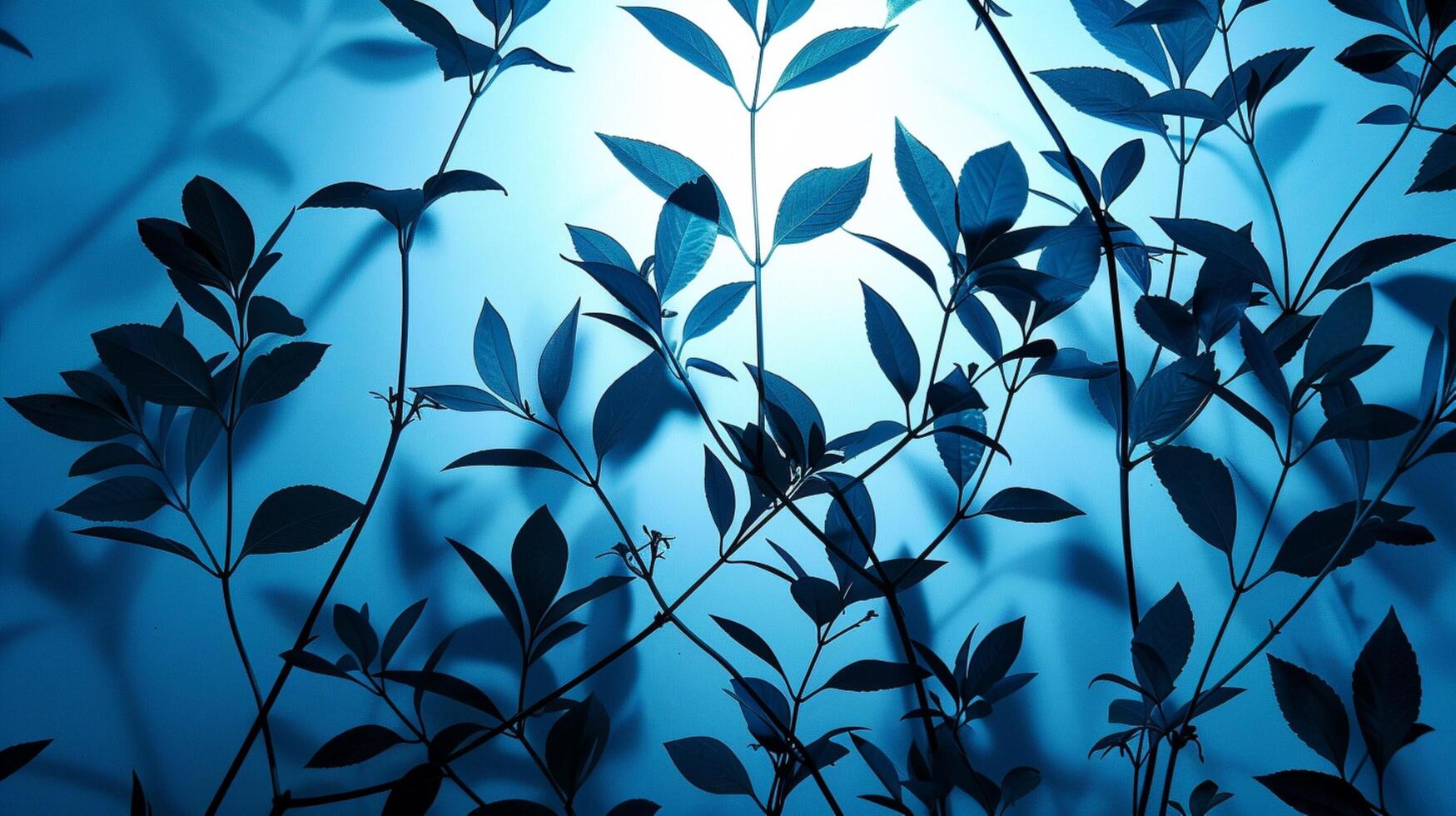 abstract botanical pattern in silhouette on blue photo