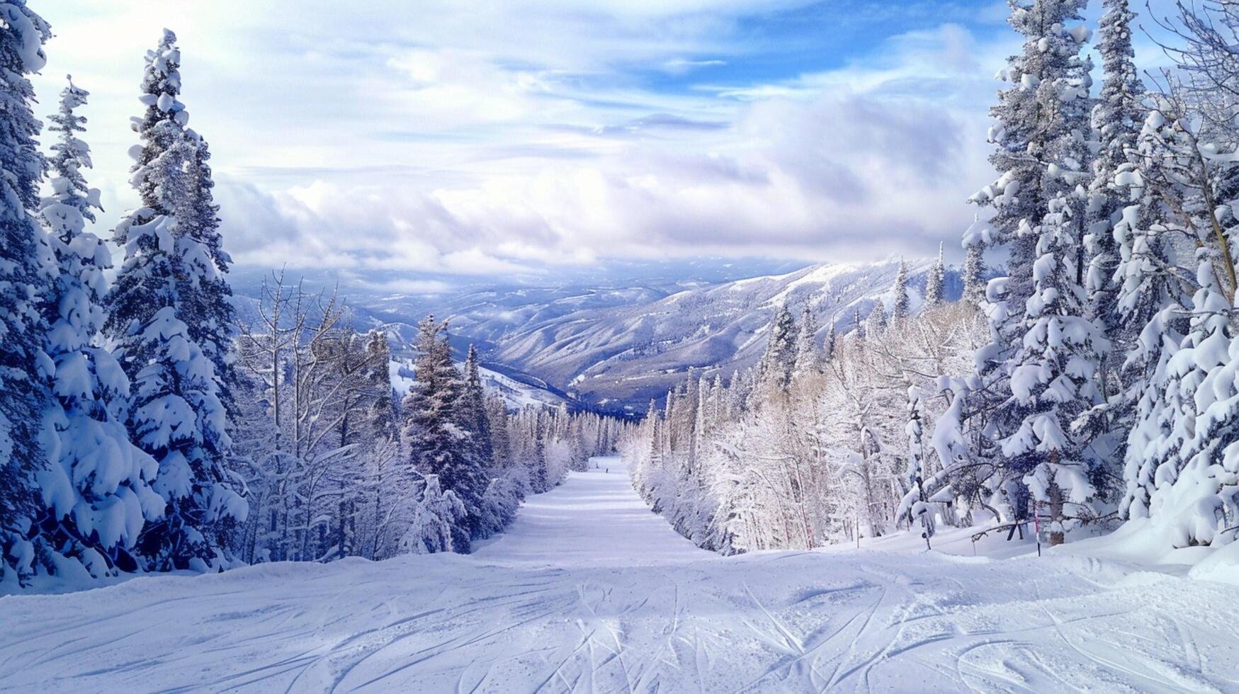 beautiful winter nature landscape amazing mountain photo