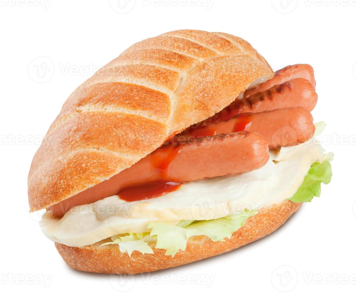 Sandwich with sausage ketchup salad and mozzarella cheese photo