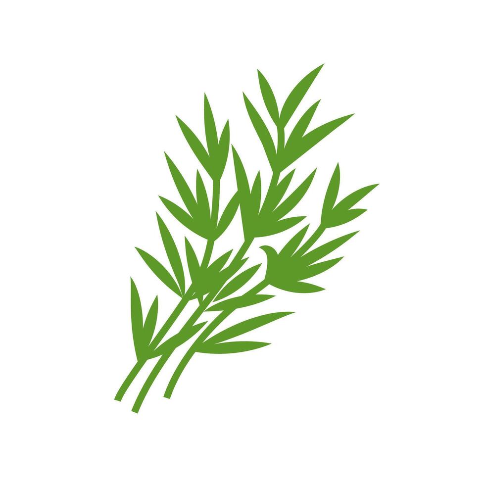 Tarragon or estragon fresh herb bundle. Flat illustration isolated on white background. vector