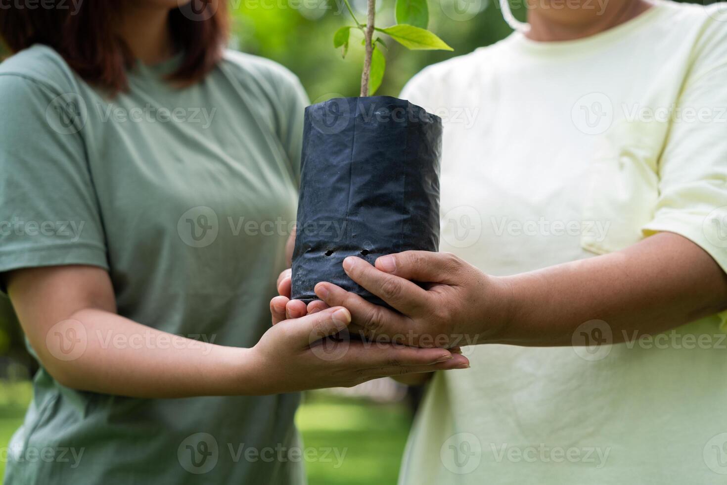 Old Asian Women and daughter join as volunteers for reforestation, earth conservation activities for reduce global warming growth feature and take care nature earth. Environment Concept photo